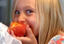liste des fruits d'été