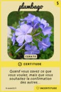 5-plumbago