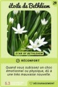 29-etoiledebethleem