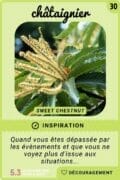 30-chataignier
