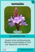 31-verveine