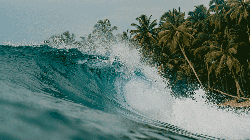 disparition des glaciers