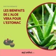 17964396550980286_aujourdhuicom