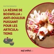 18002130136496485_aujourdhuicom