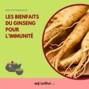 17976542617844698_aujourdhuicom