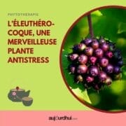 17918057330602593_aujourdhuicom