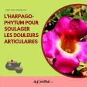 17965969559247759_aujourdhuicom