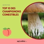 18021470438137283_aujourdhuicom