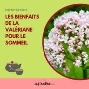 18131463619331148_aujourdhuicom