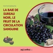 18047104501677811_aujourdhuicom