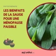 18132370219337815_aujourdhuicom