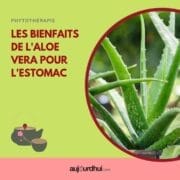 18038896870925675_aujourdhuicom