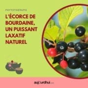 18047387194757318_aujourdhuicom